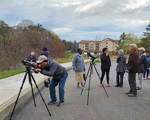 birding 2025